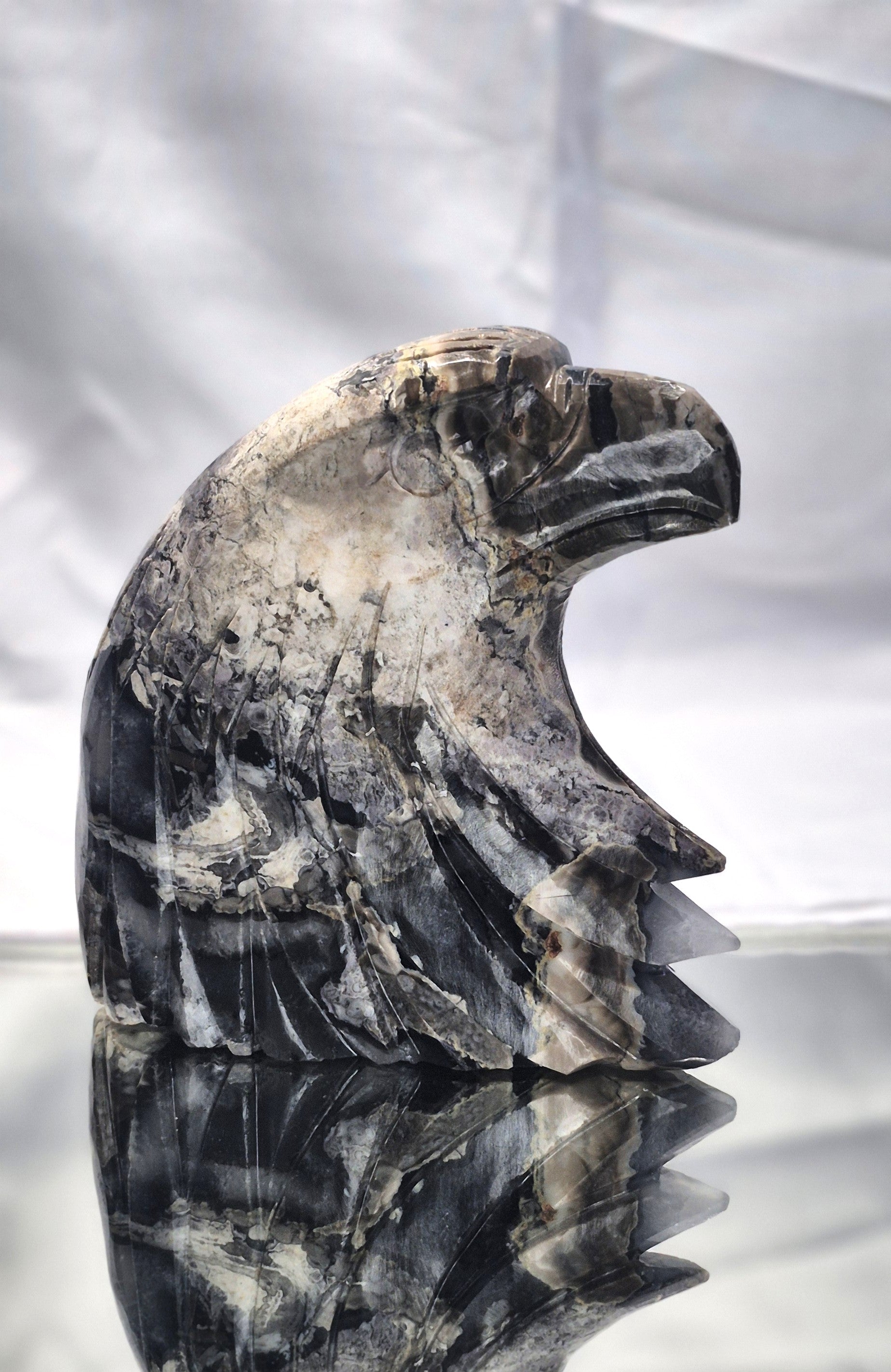 🦅 Volcano Agate Extra Extra Large Eagle Head