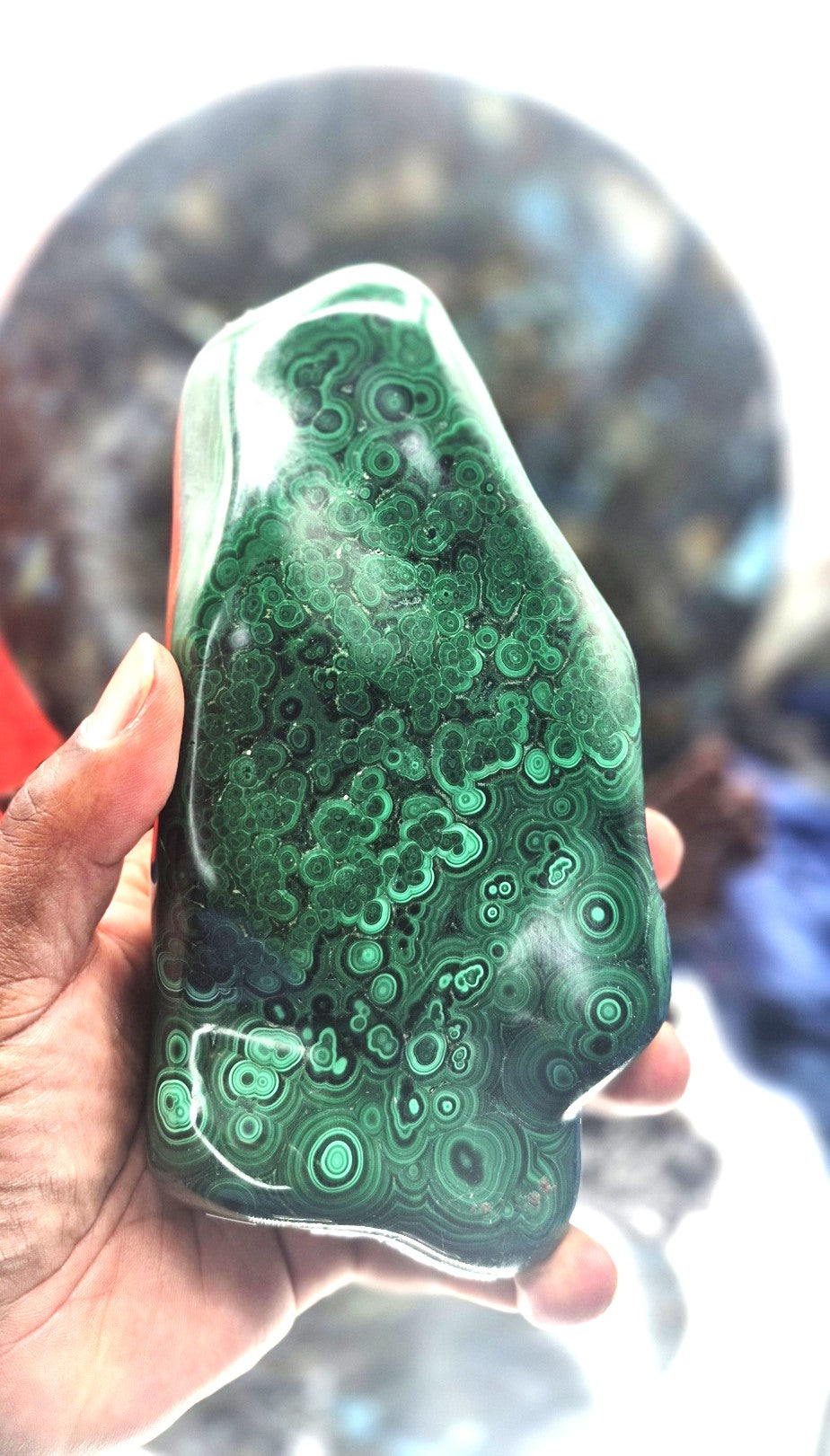 💚 Large Malachite Freeform with Custom Wood Stand