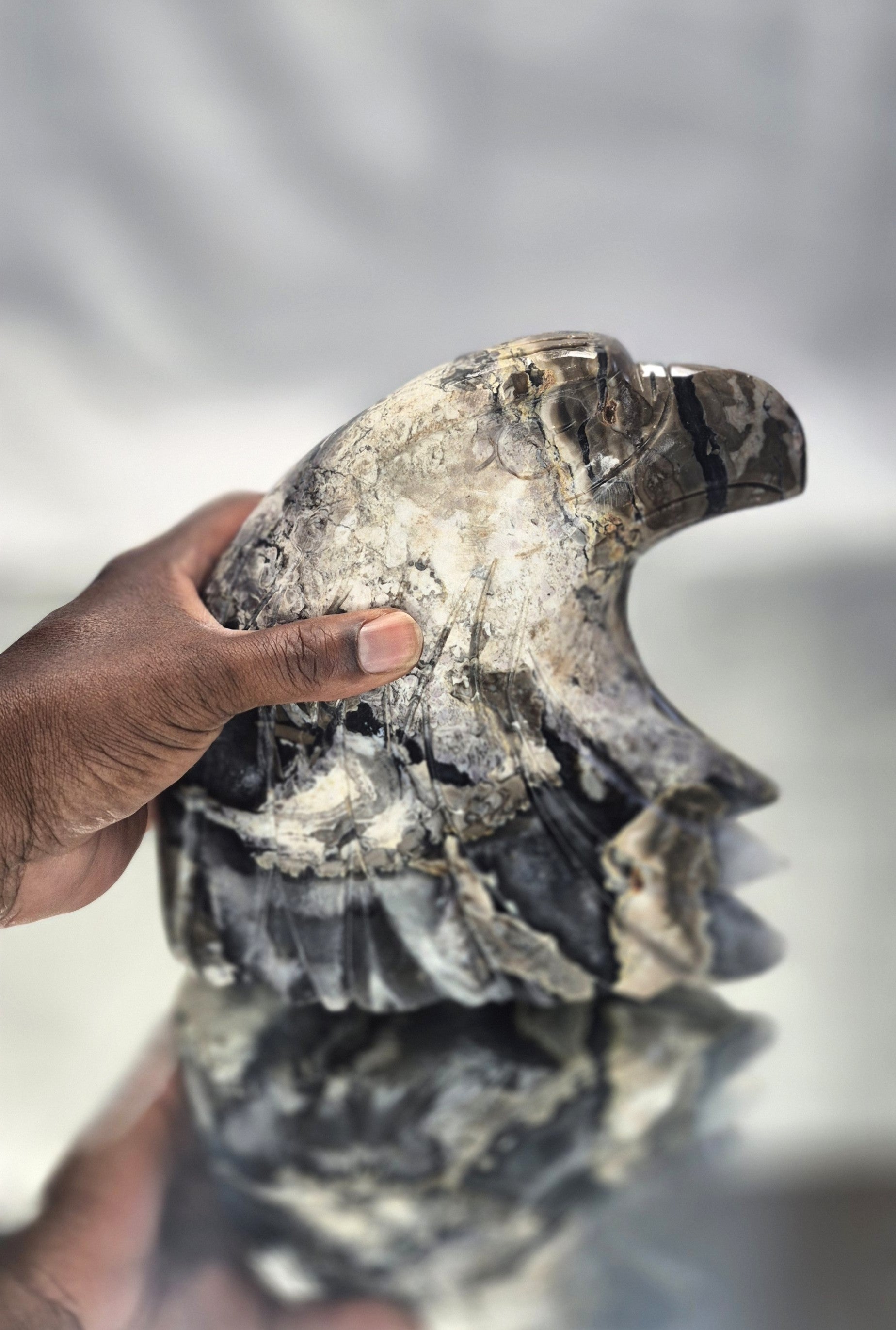🦅 Volcano Agate Extra Extra Large Eagle Head
