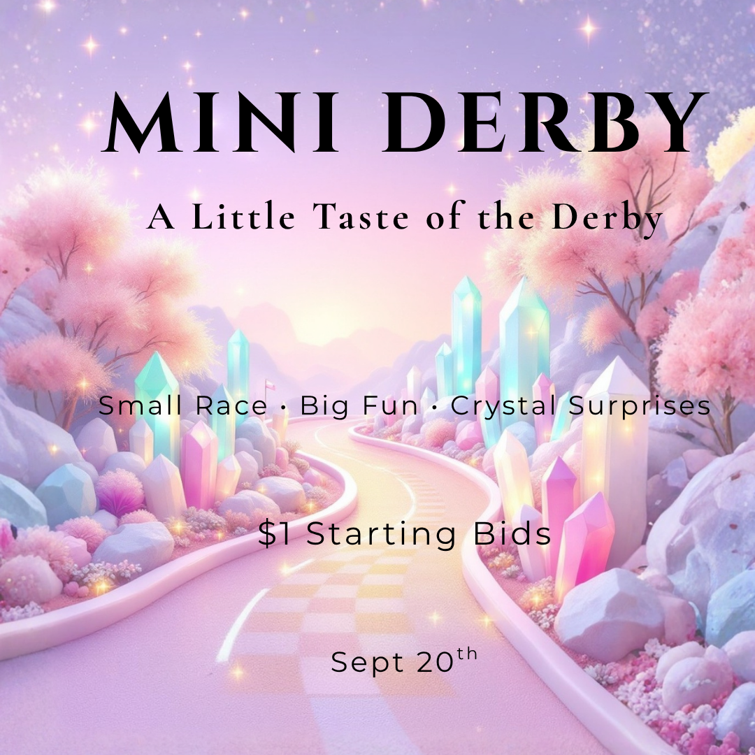 Game 2 - Mini Derby item #4