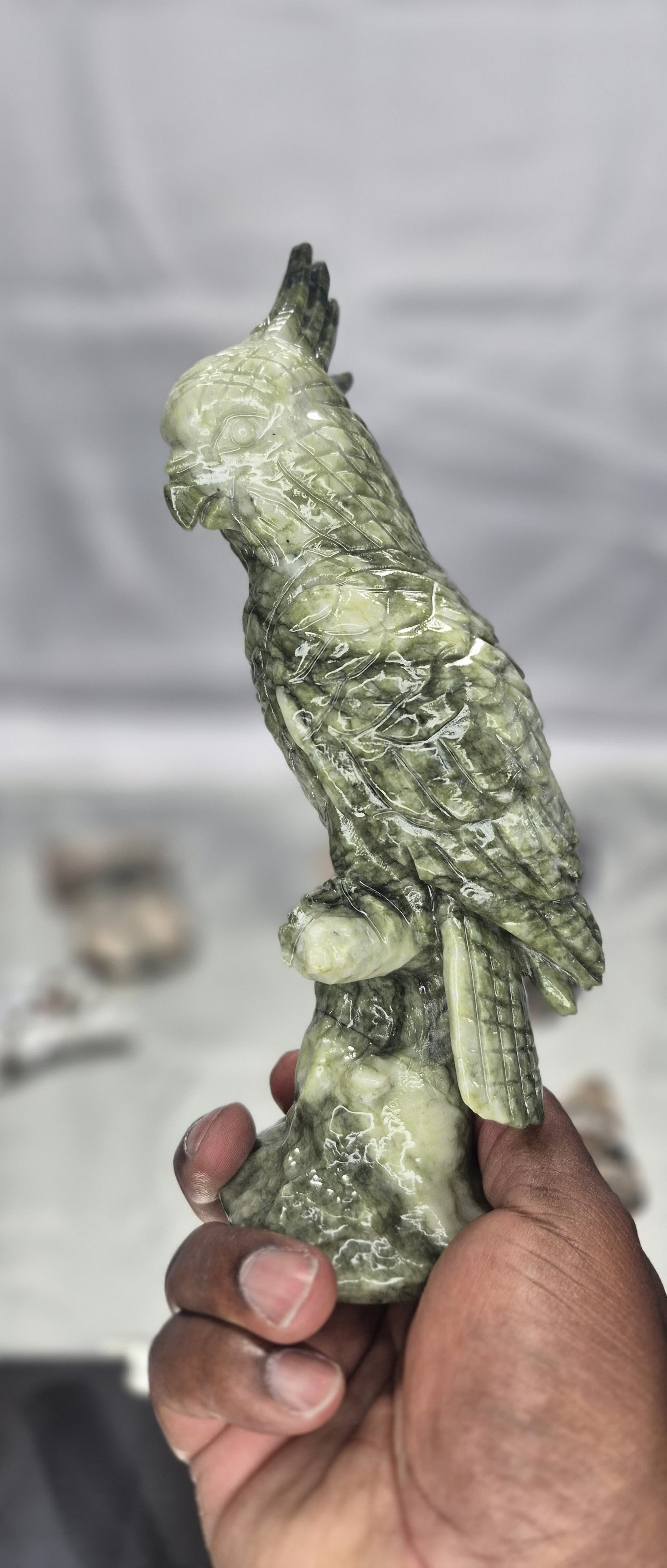 🦜 Serpentine Parrot Carving