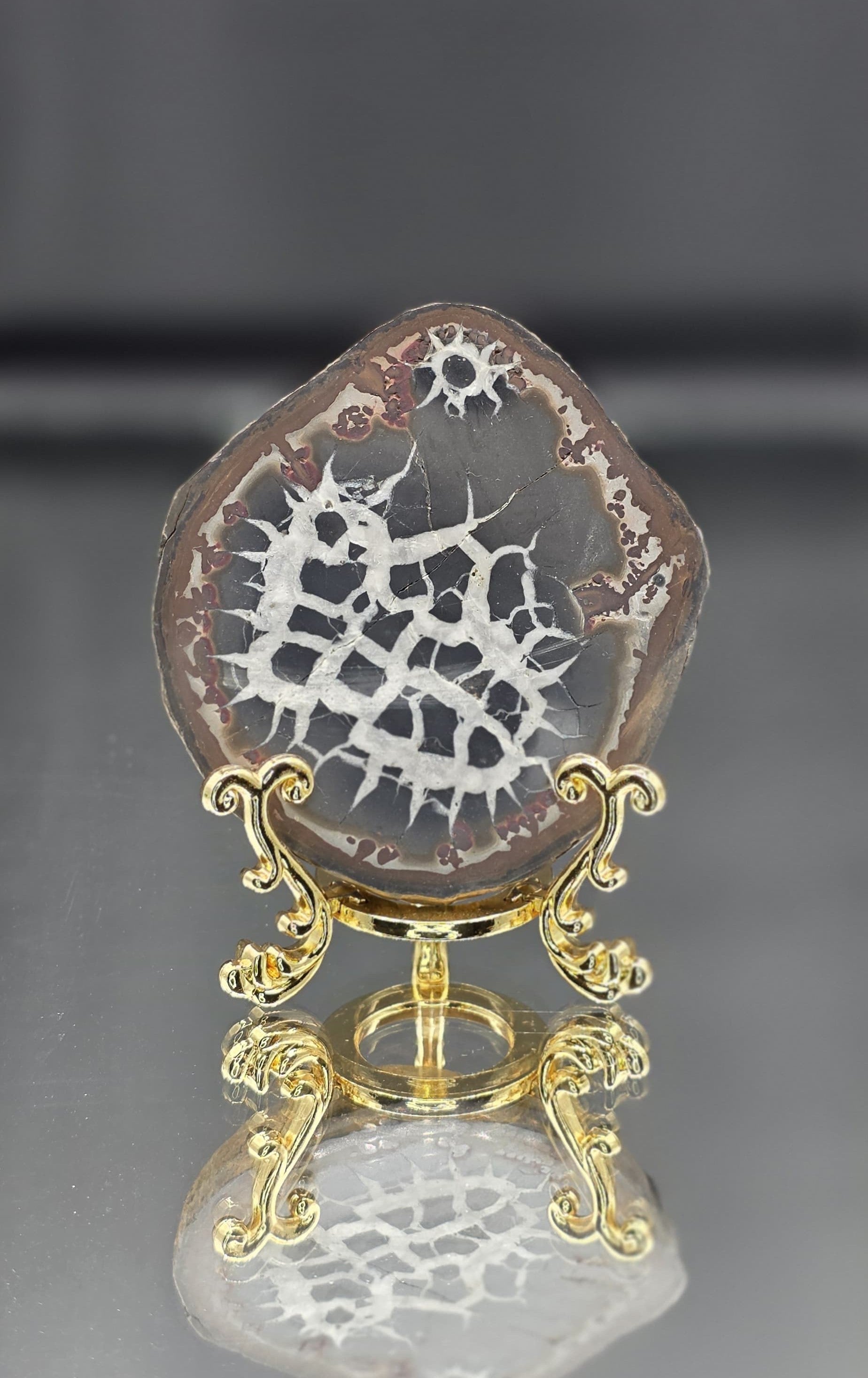 🌎✨ Septarian Nodule with Pyrite — Includes Fancy Gold Stand