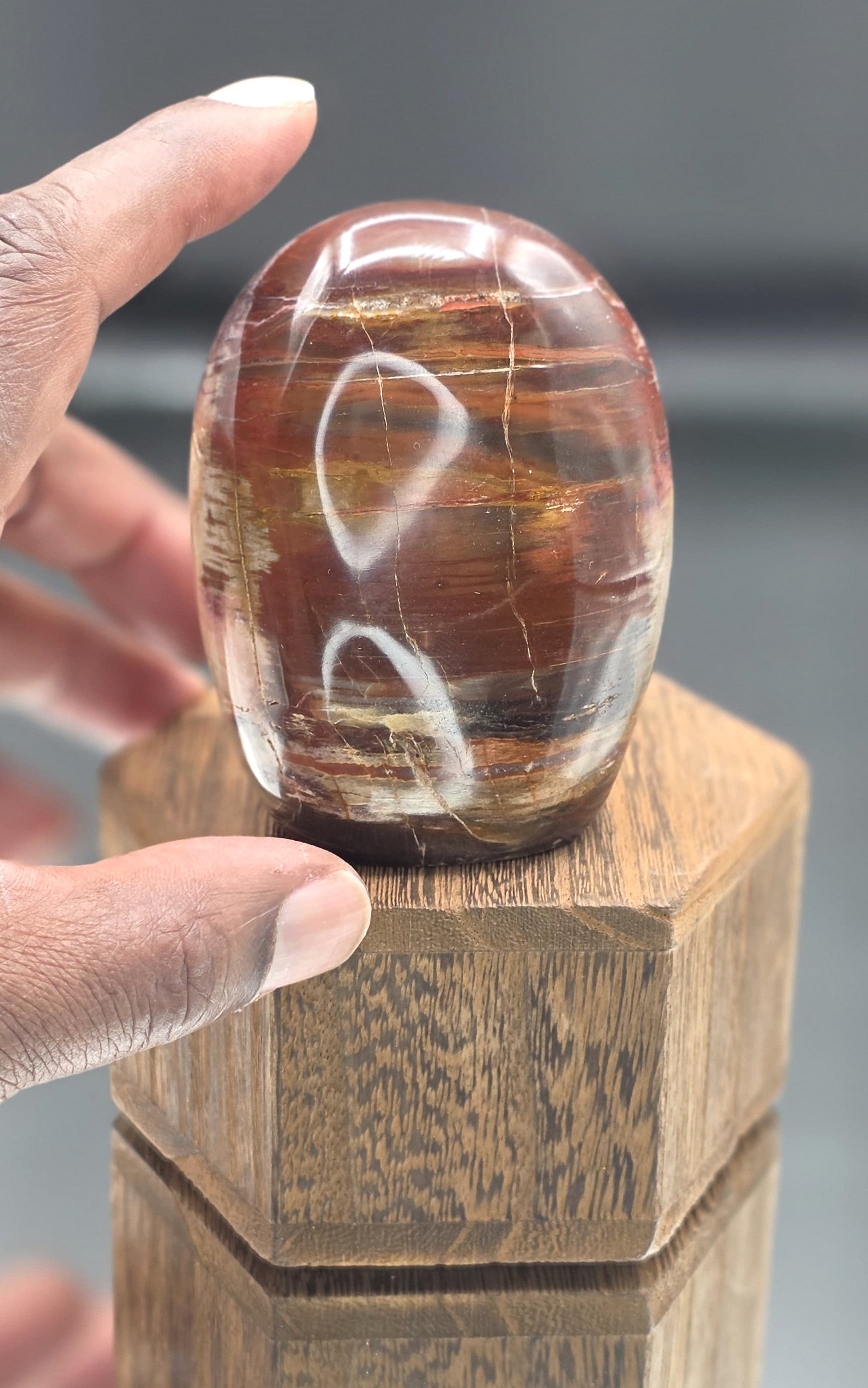 🌳🔥 Petrified Wood Dome — UV Reactive